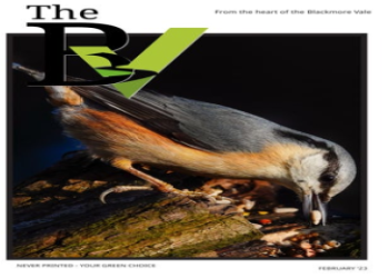 Free Constellation Bear Crossword: Download, Print, and Play, Explore easily!