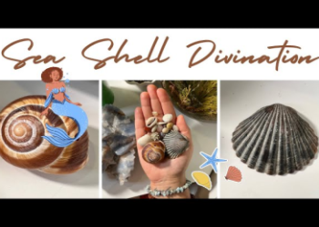 shell divination