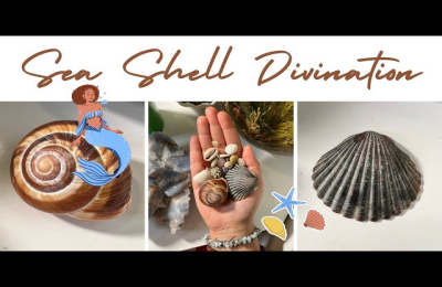 shell divination
