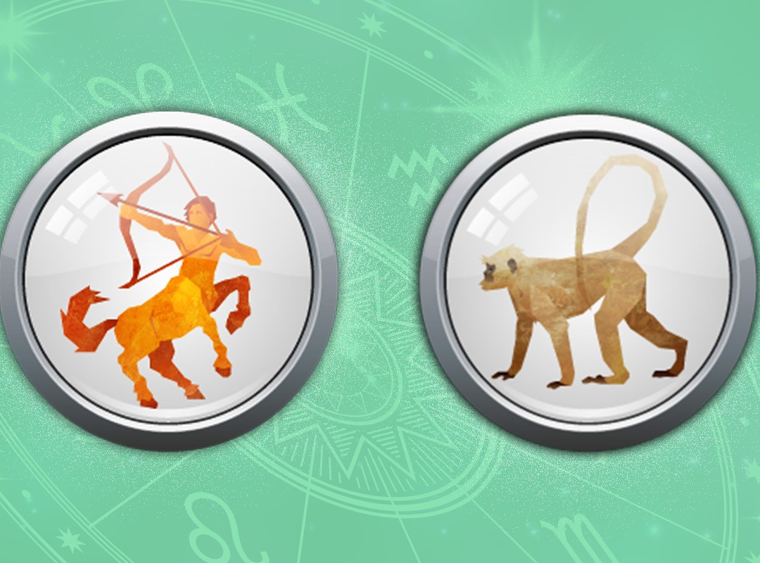Sagittarius Monkey: What Does Your Zodiac Sign Say About You?
