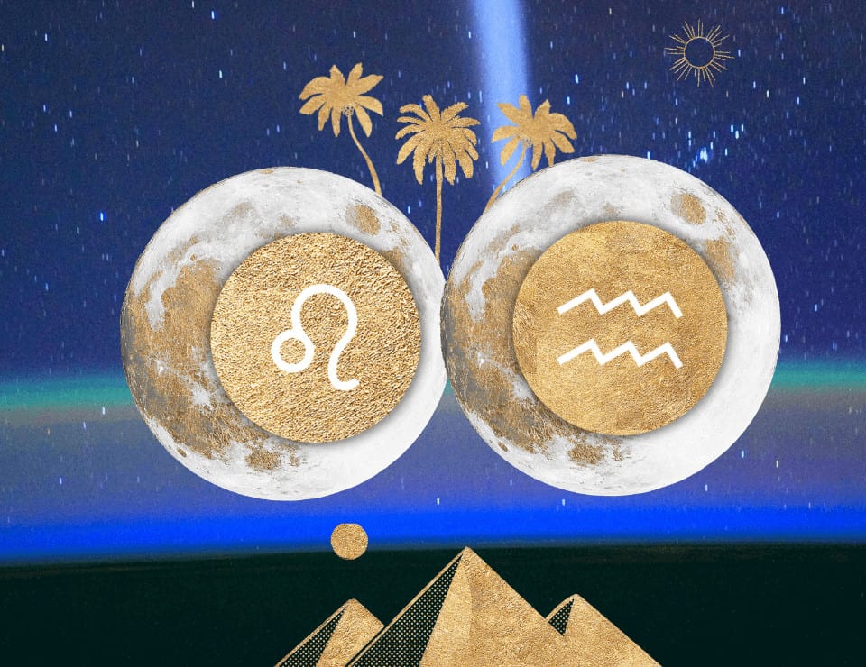 leo north node aquarius south node
