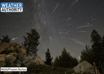 Southern constellation crossword puzzle help: Expert advice you need now.