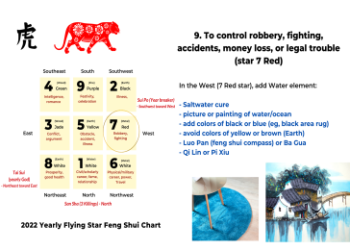 Constellation Tiger Guide: Find Your Lucky Stars Now!