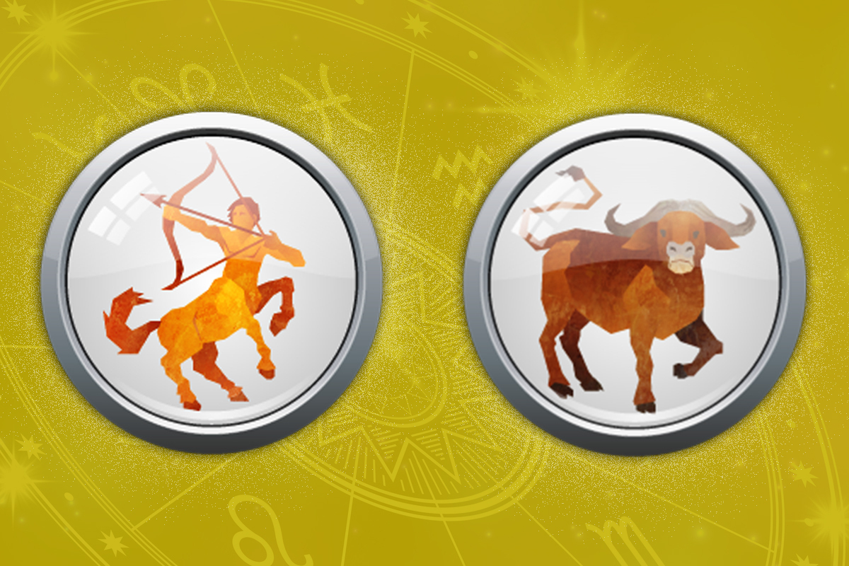 Sagittarius Ox Personality: Are You This Unique Sign?